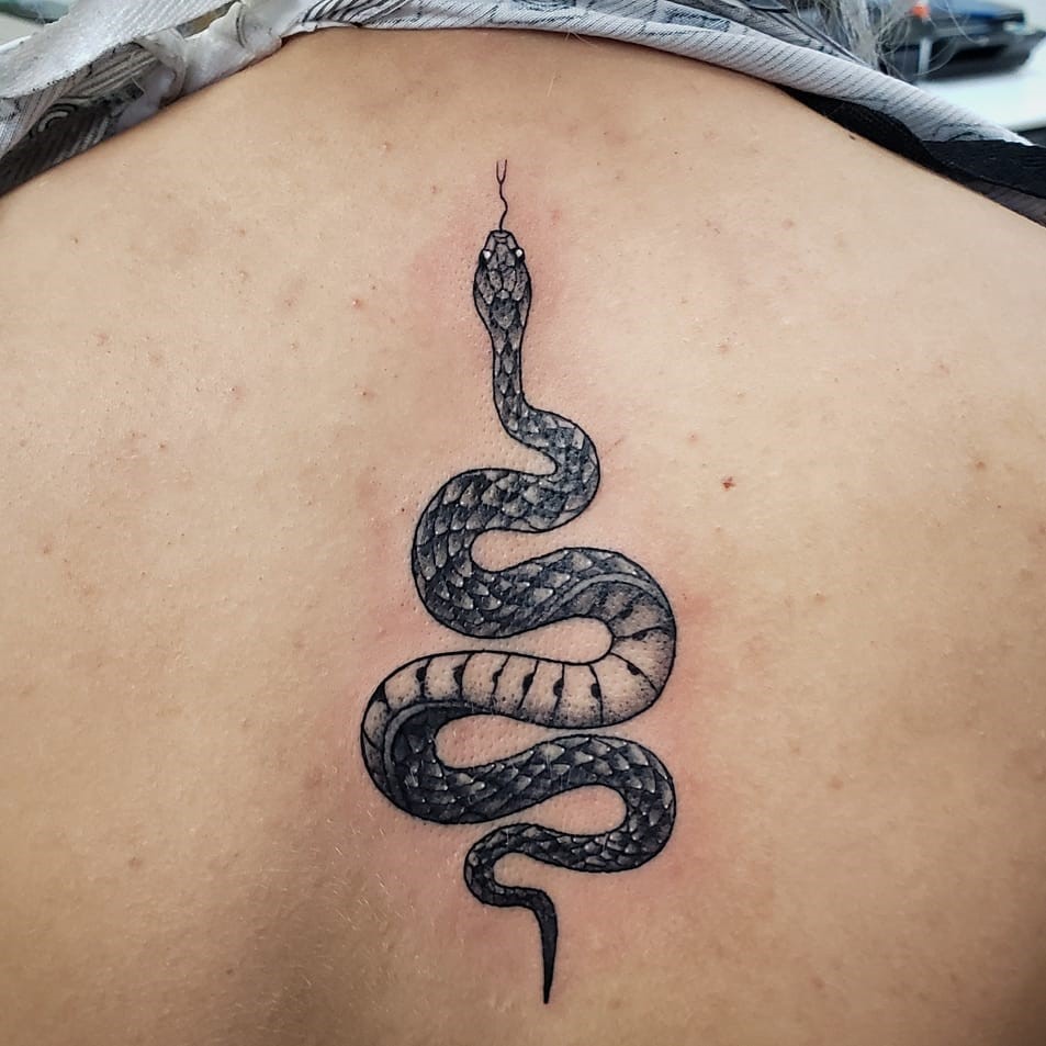 sam-fernandez-tattoo-snake-back